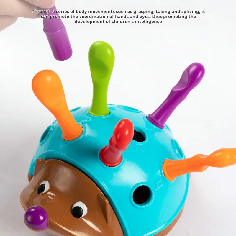 Early Education Hedgehog Toy – Fine Motor & Hand-Eye Coordination Development